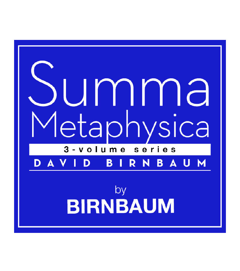 Guides On Summa Metaphysica By David Birnbaum